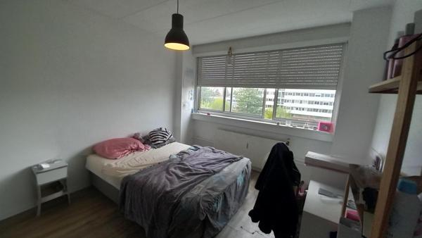 Spécial Investissement Locatif