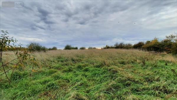 Fermette à vendre à Luçay-le-Mâle dans l'Indre (36360), ref : 021/1560