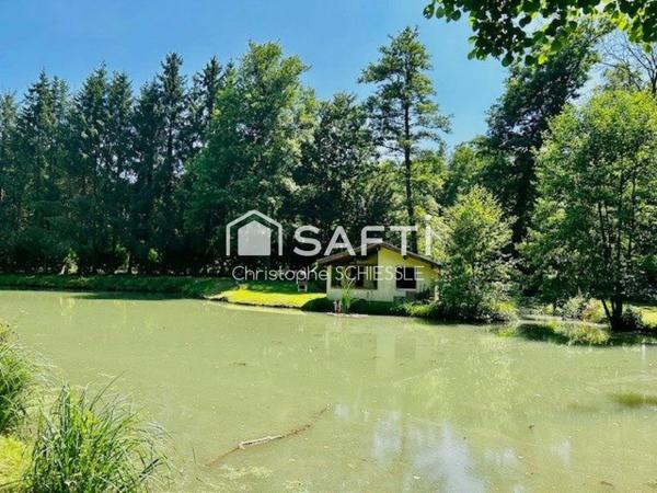 Etang avec cabanon de 25 m2