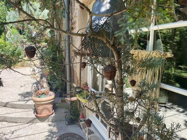 Un Cottage au sein de la Corrèze Chamboulive