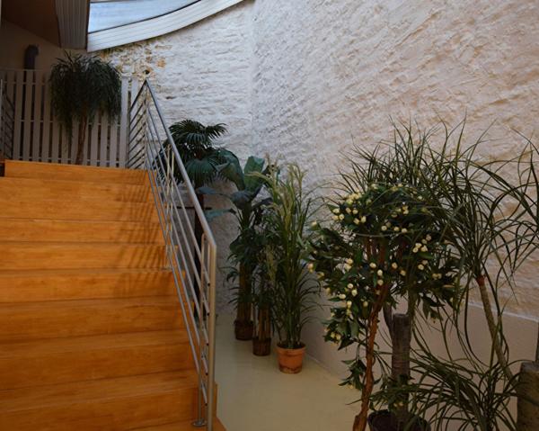 Studio Epinal 1 pièce(s) 26 m2