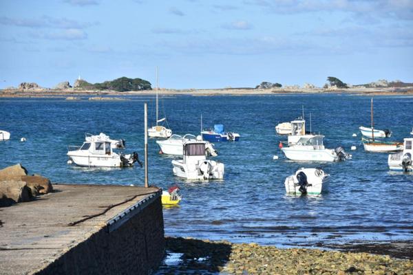 2 Maisons indépendantes à Trevou Treguignec