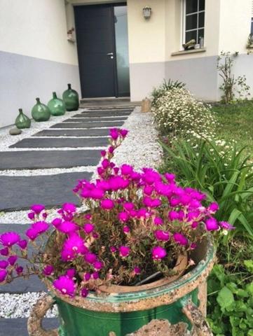 Magnifique maison, écologique, à Ambares et Lagrave