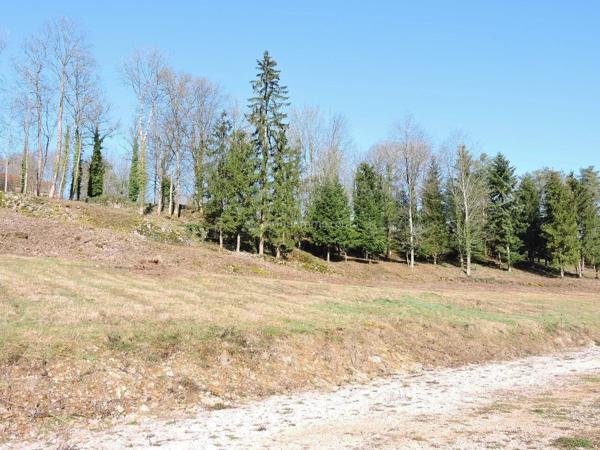 Vente                                                      Terrain
                        
                                                            à Goncourt