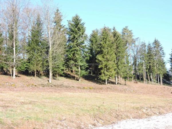 Vente                                                      Terrain
                        
                                                            à Goncourt