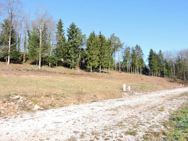 Vente                                                      Terrain
                        
                                                            à Goncourt
