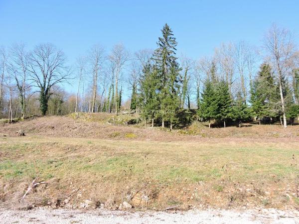 Vente                                                      Terrain
                        
                                                            à Goncourt