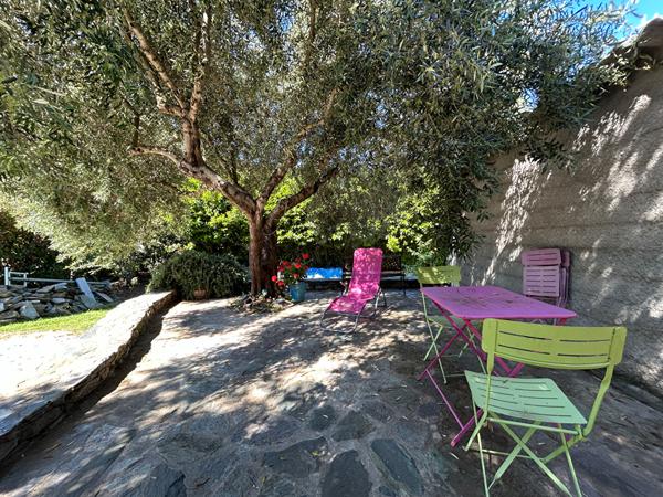 A vendre Campile maison entièrement rénovée de 4 pièce(s) avec jardin