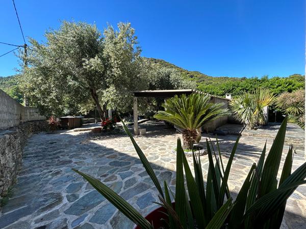 A vendre Campile maison entièrement rénovée de 4 pièce(s) avec jardin