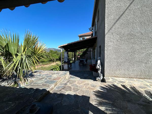 A vendre Campile maison entièrement rénovée de 4 pièce(s) avec jardin
