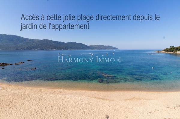 Rare : Pied dans l’eau. Accès direct plage.
