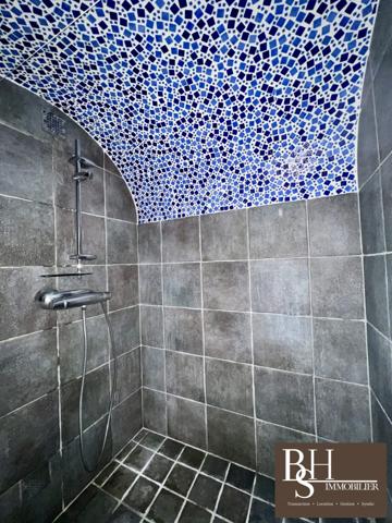 POITIERS, Blossac, appartement d'exception avec jardin, piscine et place de parking