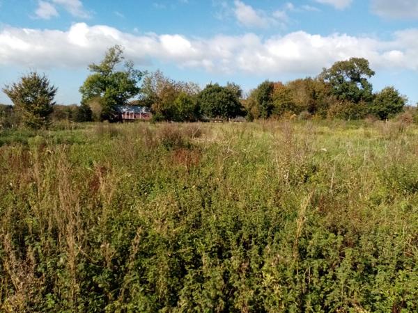 Terrain à vendre proche de HERICOURT EN CAUX (76)