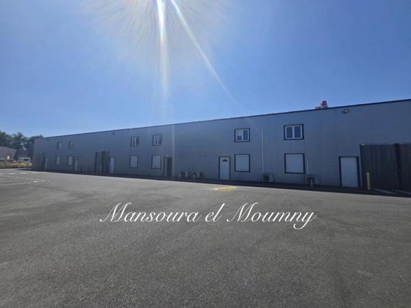 ENSEMBLE INDUSTRIEL D'EXCEPTION / 2 BÂTIMENTS ( 37)