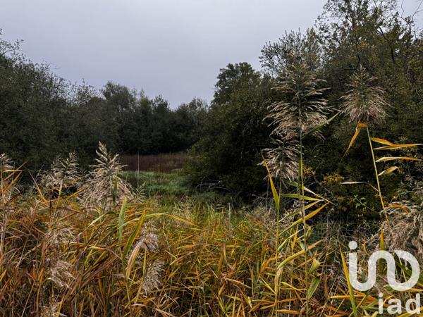 Terrain à vendre 10 836 m² Romorantin-Lanthenay