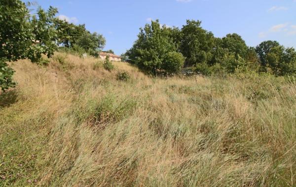 Vente Terrain Puy-l'eveque   