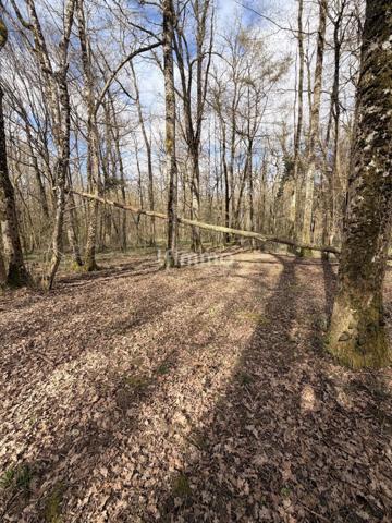 Maison à deux appartements