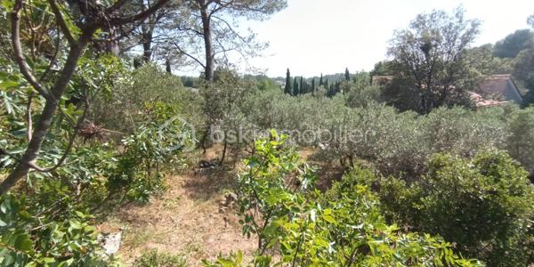 Terrain de 1 001 m²