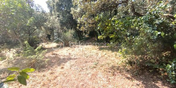 Terrain de 1 001 m²