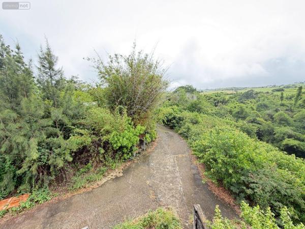 Terrain à Batir à vendre à Saint-Paul à la Réunion (97460), ref : 97405/233   
Saline les Hauts