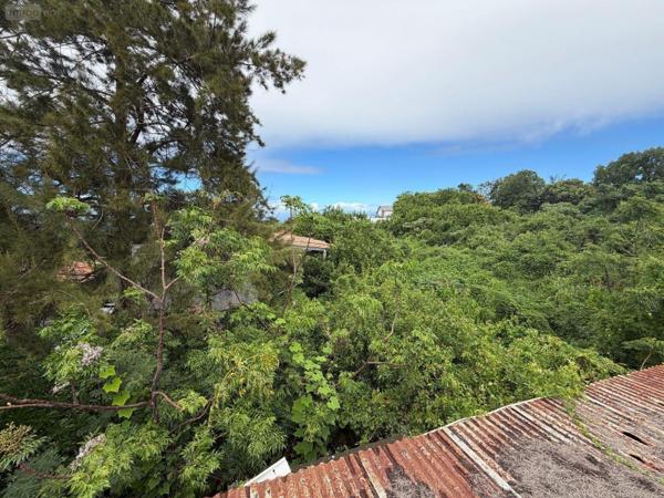 Terrain à Batir à vendre à Saint-Paul à la Réunion (97460), ref : 97405/233   
Saline les Hauts