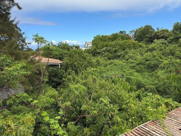 Terrain à Batir à vendre à Saint-Paul à la Réunion (97460), ref : 97405/233   
Saline les Hauts