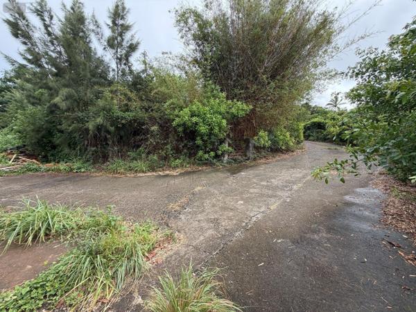 Terrain à Batir à vendre à Saint-Paul à la Réunion (97460), ref : 97405/233   
Saline les Hauts
