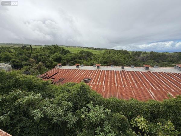 Terrain à Batir à vendre à Saint-Paul à la Réunion (97460), ref : 97405/233   
Saline les Hauts