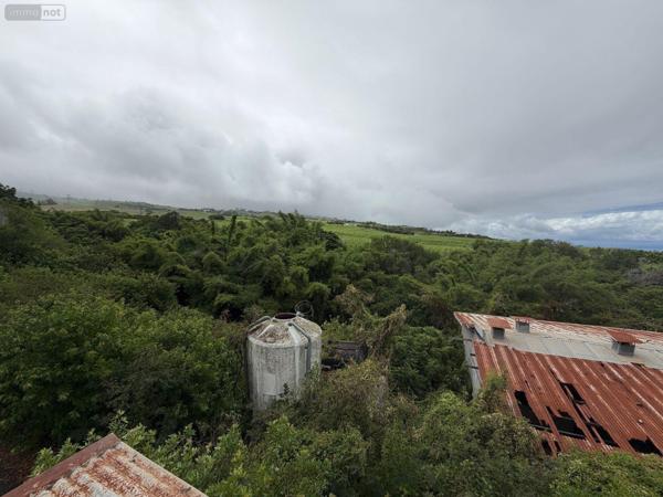 Terrain à Batir à vendre à Saint-Paul à la Réunion (97460), ref : 97405/233   
Saline les Hauts