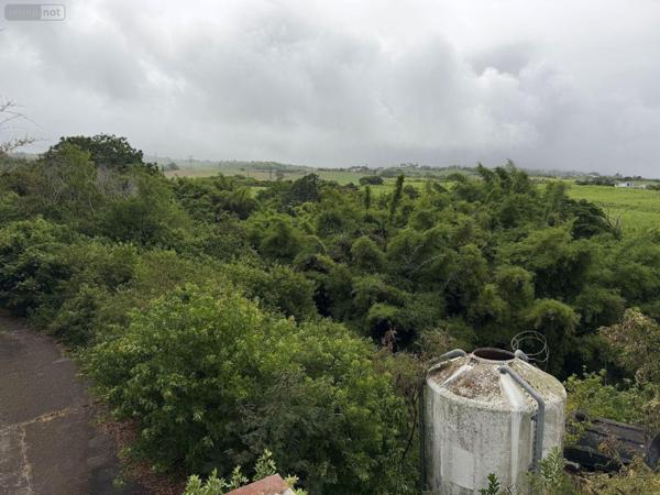 Terrain à Batir à vendre à Saint-Paul à la Réunion (97460), ref : 97405/233   
Saline les Hauts