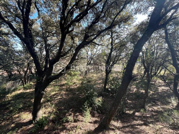 Terrain de 1 572 m²