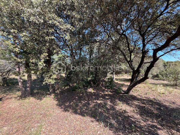 Terrain de 1 572 m²