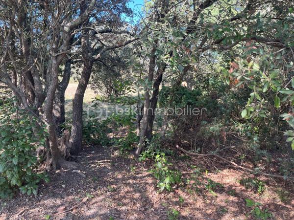 Terrain de 1 572 m²