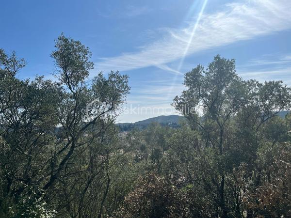 Terrain de 1 572 m²