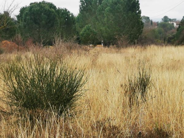 Saint-Maximin-la-Sainte-Baume (83470) Terrain constructible à Saint Maximin la Sainte Baume