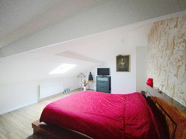 Appartement Montluel 4 pièce(s) 170 m2, 3 chambres, centre ville, jardin, charme