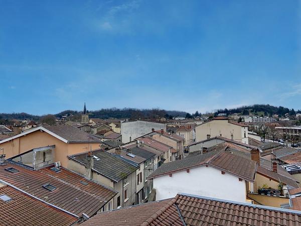 Appartement Montluel 4 pièce(s) 170 m2, 3 chambres, centre ville, jardin, charme