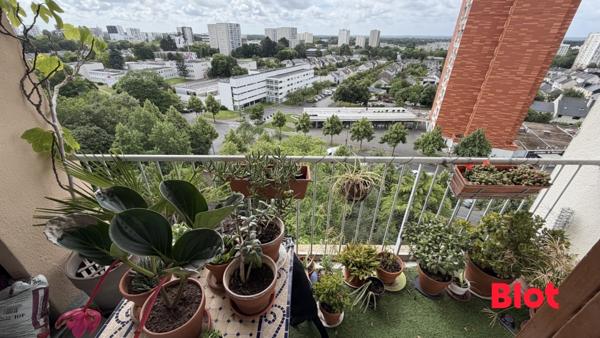 Appartement 4 pièce(s)