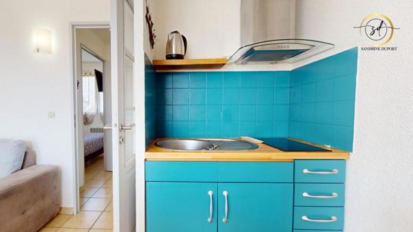 T2 meublé avec parking dans résidence sécurisée. terrasse vue piscine et canigou