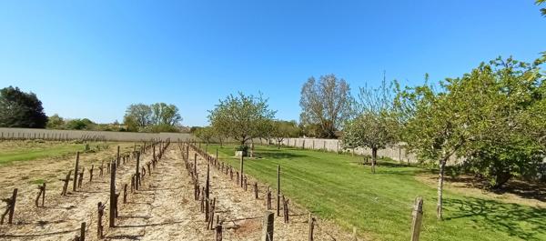 Maison à SAINT-MICHEL-EN-L'HERM, 85580 - 5 pièces 185m²