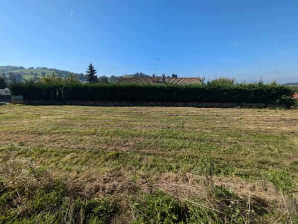 Terrain à vendre - PANISSIERES - 548 m²