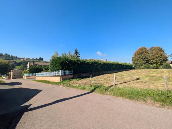 Terrain à vendre - PANISSIERES - 548 m²