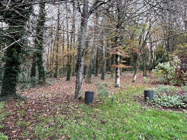 Maison à vendre à Scaër dans le Finistère (29390), ref : 29122-1592