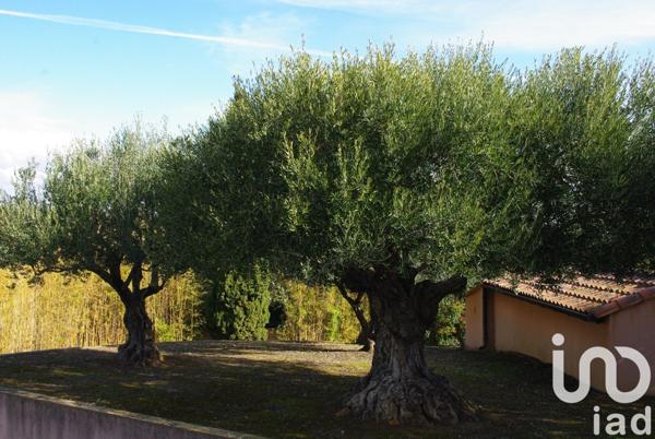 Maison traditionnelle 7 pièces de 246 m² à Poussan (34560)