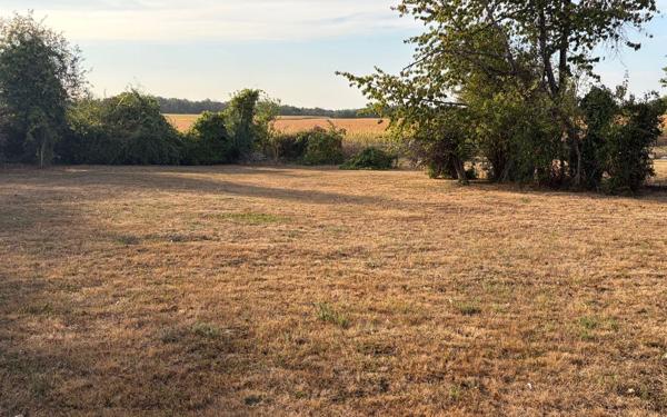Terrain à vendre