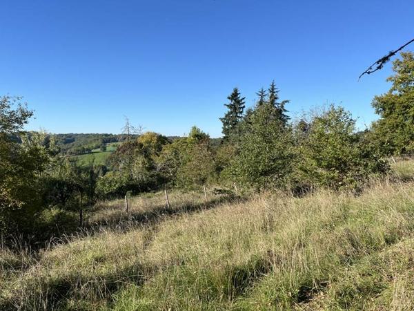 Terrain à vendre |  Thenon |  1220 m²