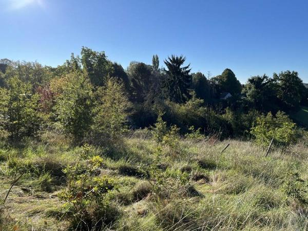 Terrain à vendre |  Thenon |  1220 m²