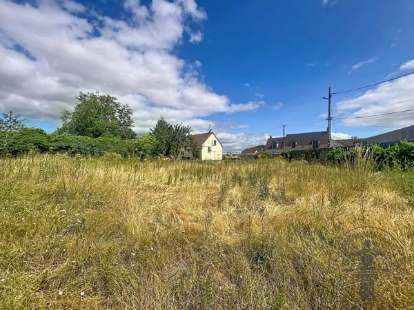 Vente                                                      Terrain
                        
                                         357 m2                     à Dourdan