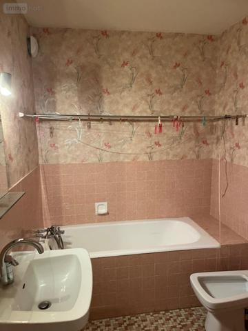 Appartement ancien à vendre à Tours dans l'Indre-et-Loire (37000), ref : 37049-94   
Rive du cher