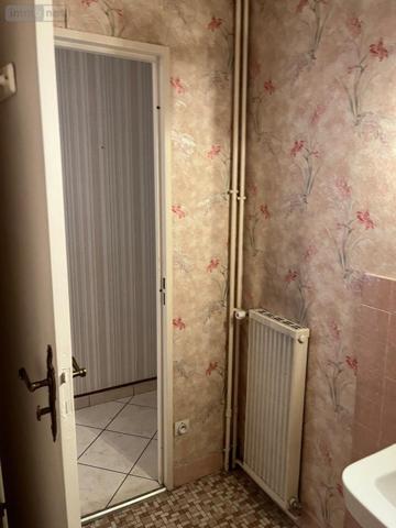 Appartement ancien à vendre à Tours dans l'Indre-et-Loire (37000), ref : 37049-94   
Rive du cher